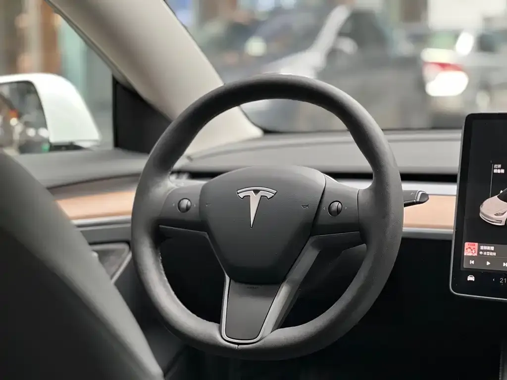 Tesla Model 3 — фото 2