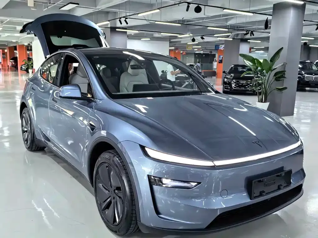 Tesla Model Y — фото 8