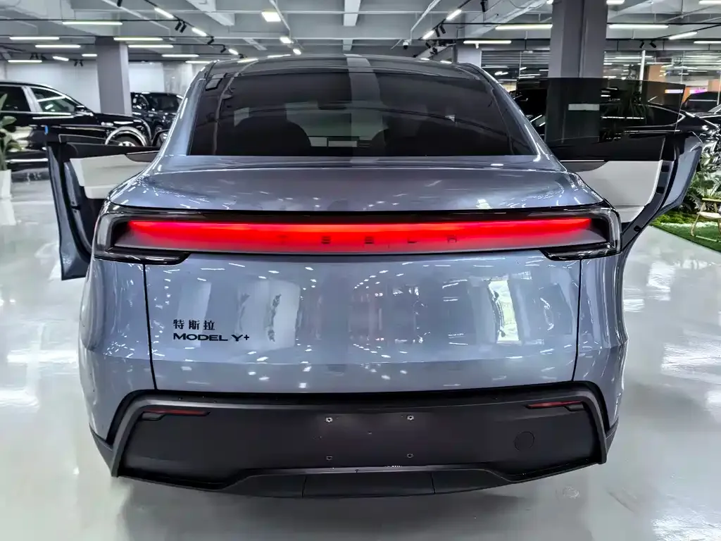 Tesla Model Y — фото 9