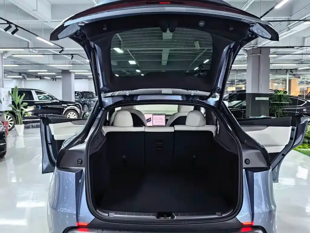 Tesla Model Y — фото 5