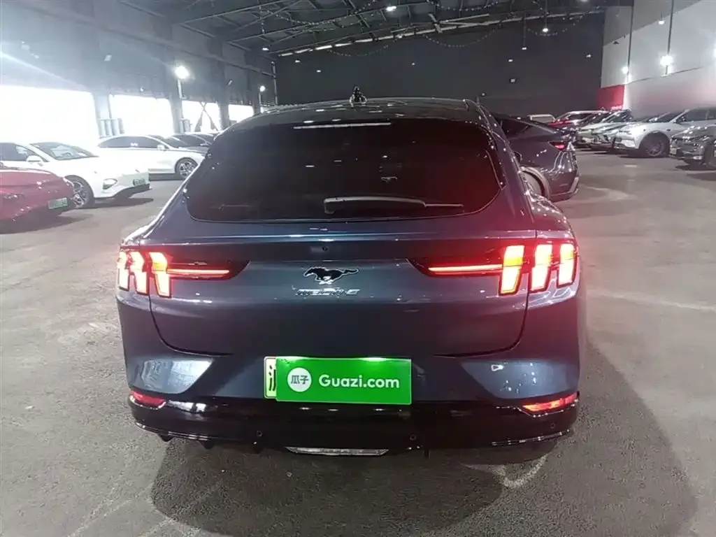 Ford Mustang Mach-E 2022 из CN, фото 9