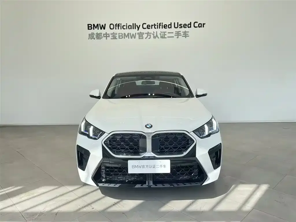 BMW X2 (Import) — фото 7