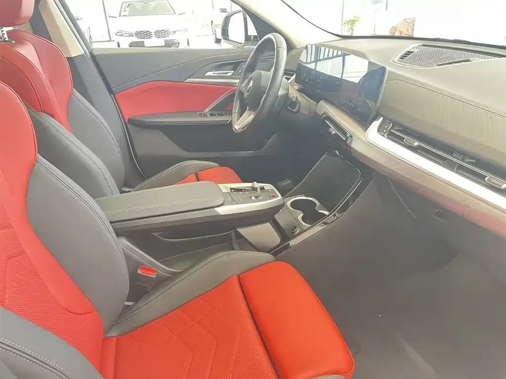 BMW X2 (Import) — фото 10