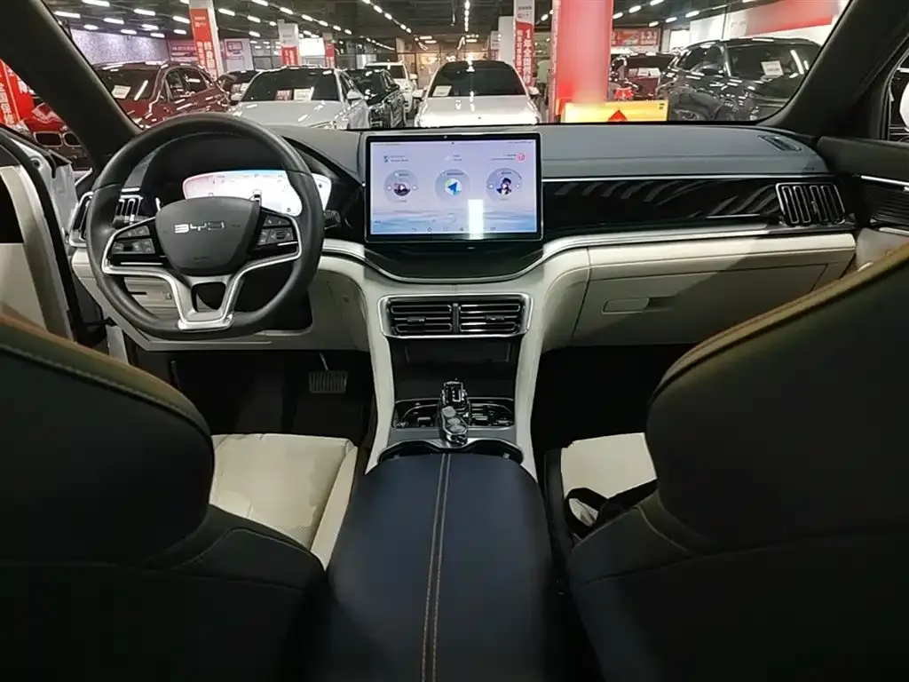 BYD PLUS New Energy — фото 7