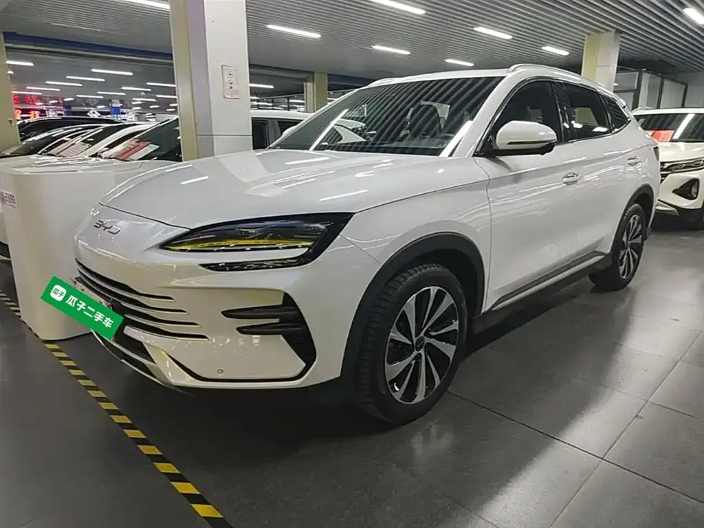 BYD PLUS New Energy — фото 4