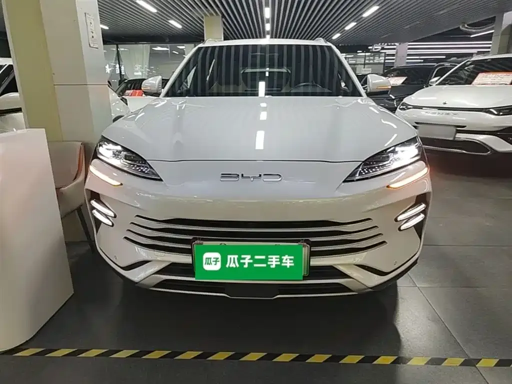 BYD PLUS New Energy — фото 6