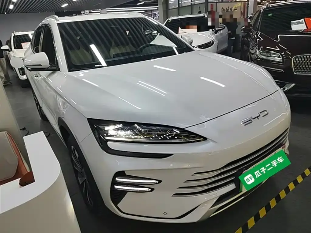 BYD PLUS New Energy — фото 10