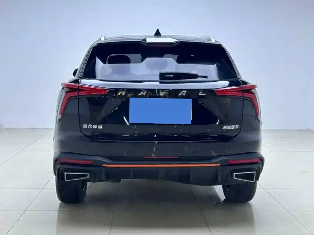 Haval Shenshou 2023 из CN, фото 4
