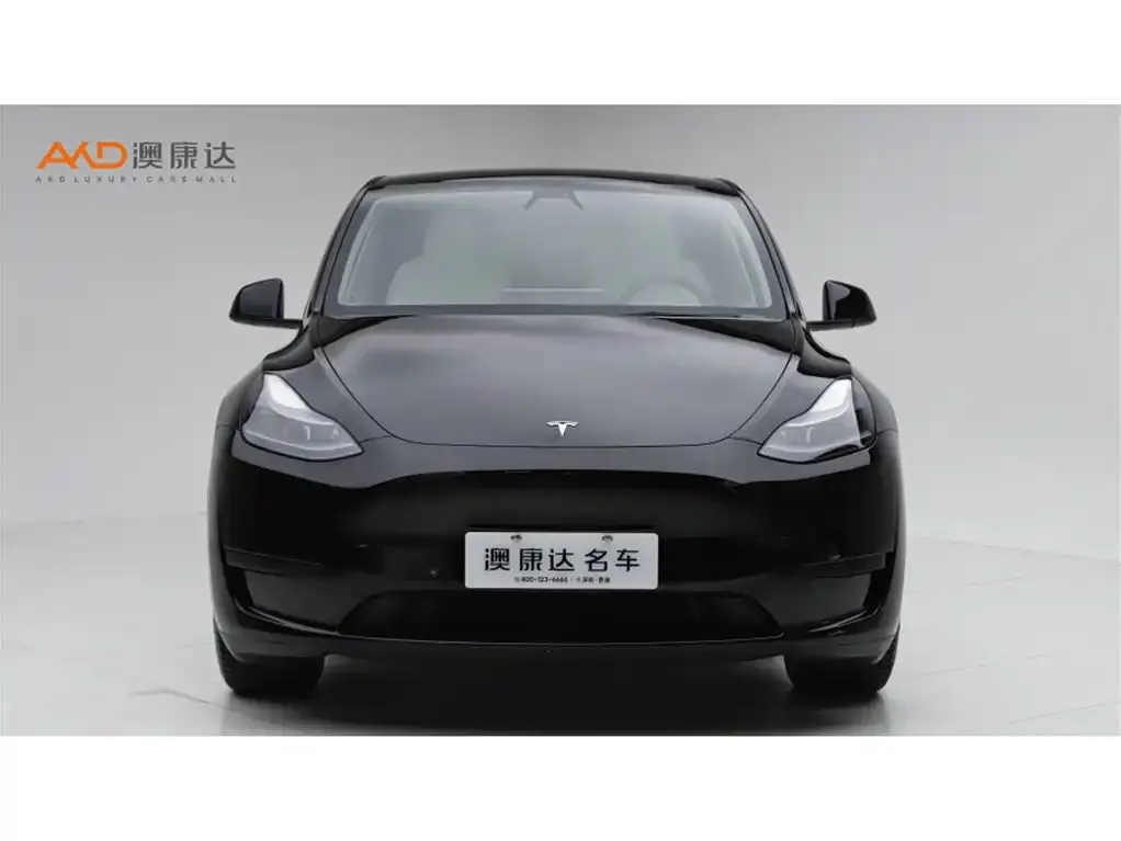 Tesla Model Y — фото 10