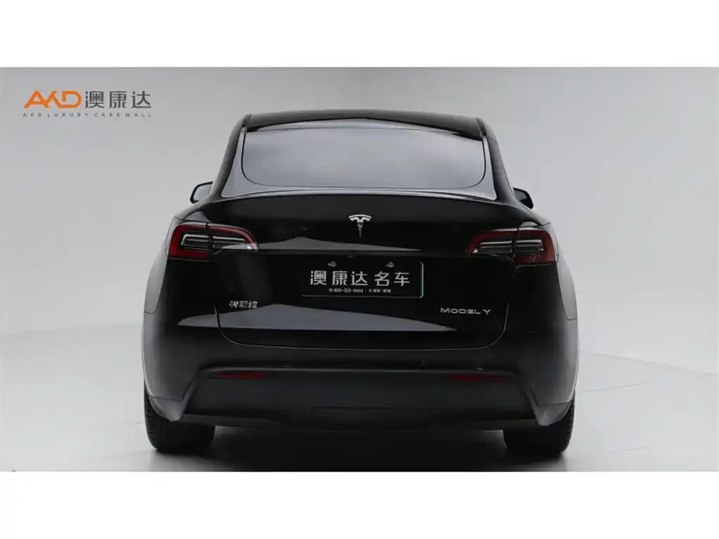 Tesla Model Y — фото 5