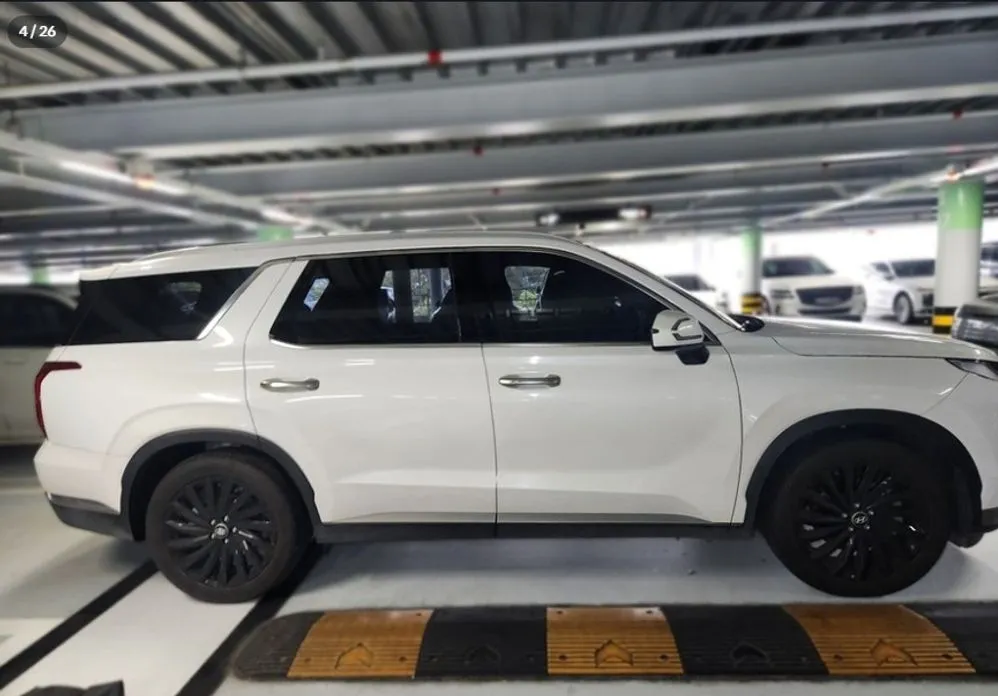 Hyundai Palisade — фото 8