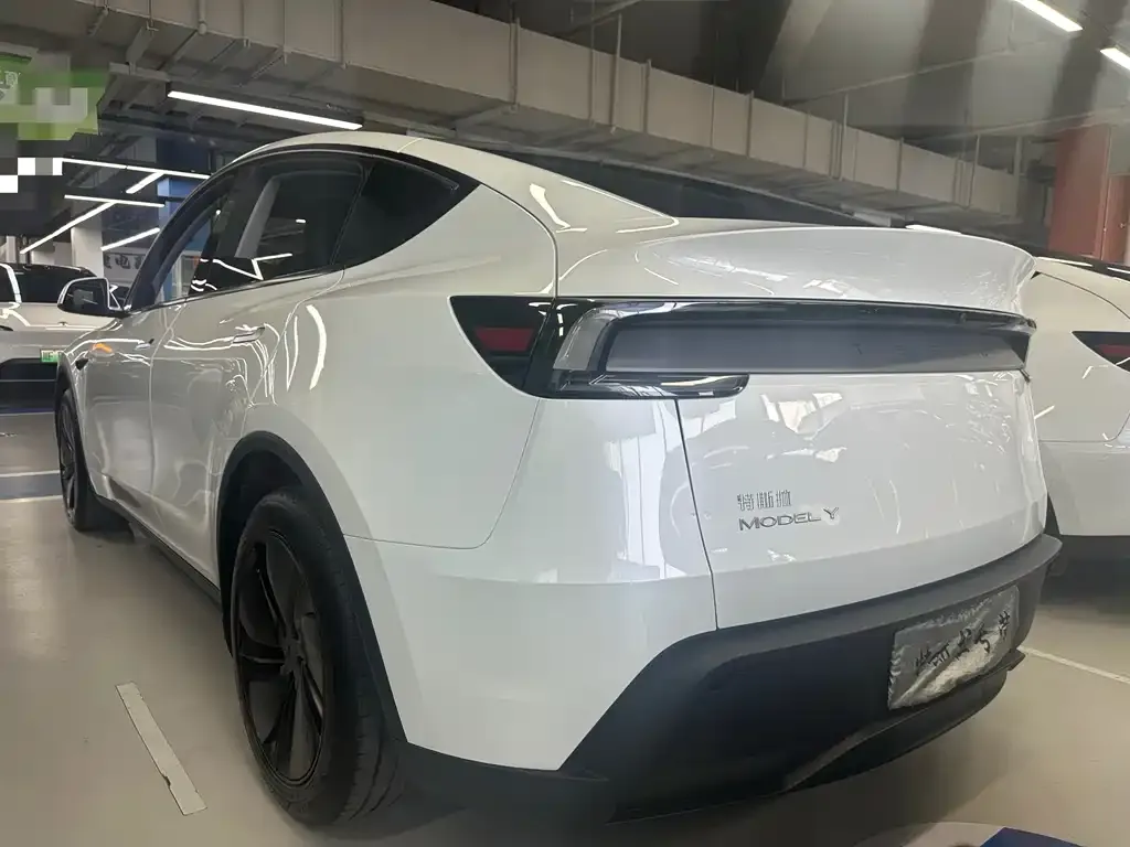 Tesla Model Y — фото 3