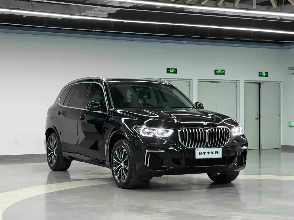 BMW X5 — фото 8