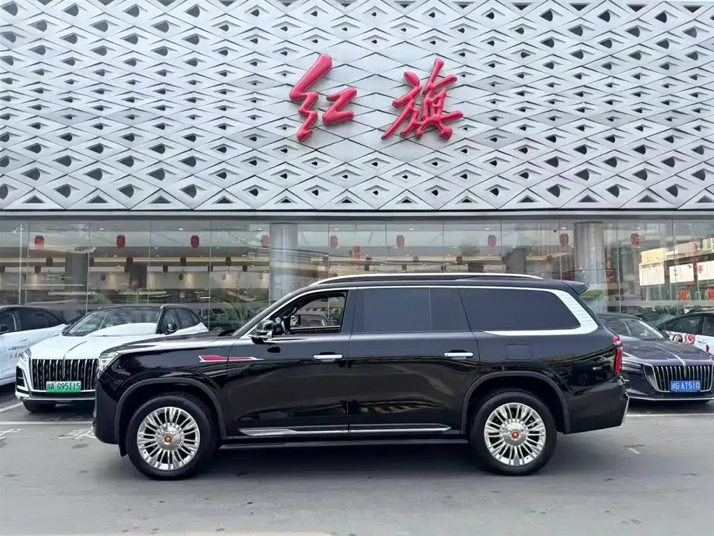 Hongqi Golden Sunflower Guoyao 2023 из CN, фото 10