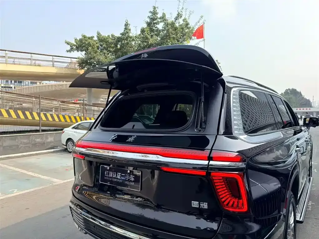 Hongqi Golden Sunflower Guoyao 2023 из CN, фото 4