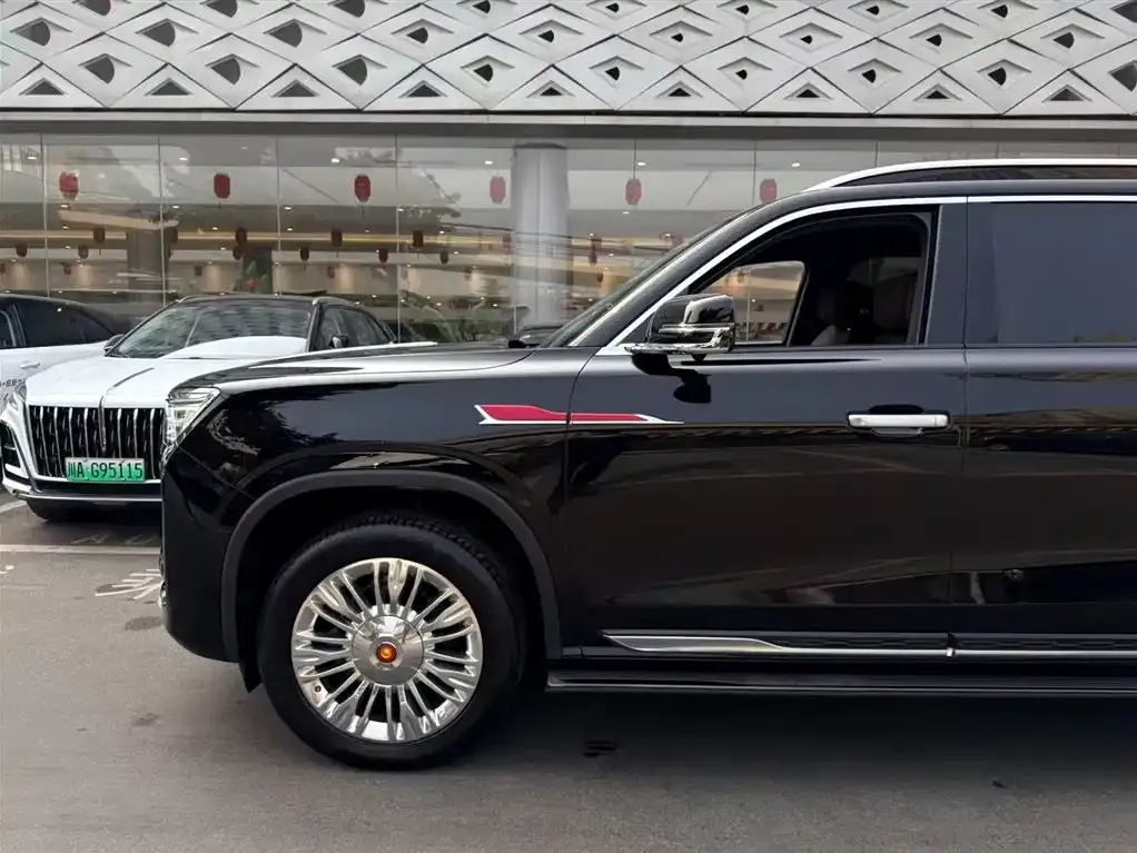 Hongqi Golden Sunflower Guoyao 2023 из CN, фото 8