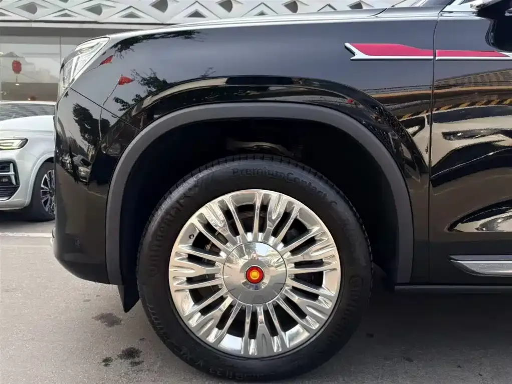 Hongqi Golden Sunflower Guoyao 2023 из CN, фото 5