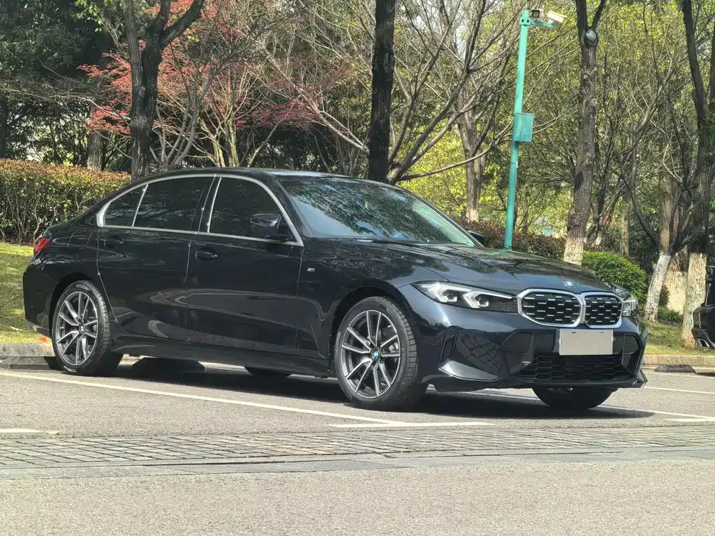 BMW 3 Series 2024 из CN, фото 8