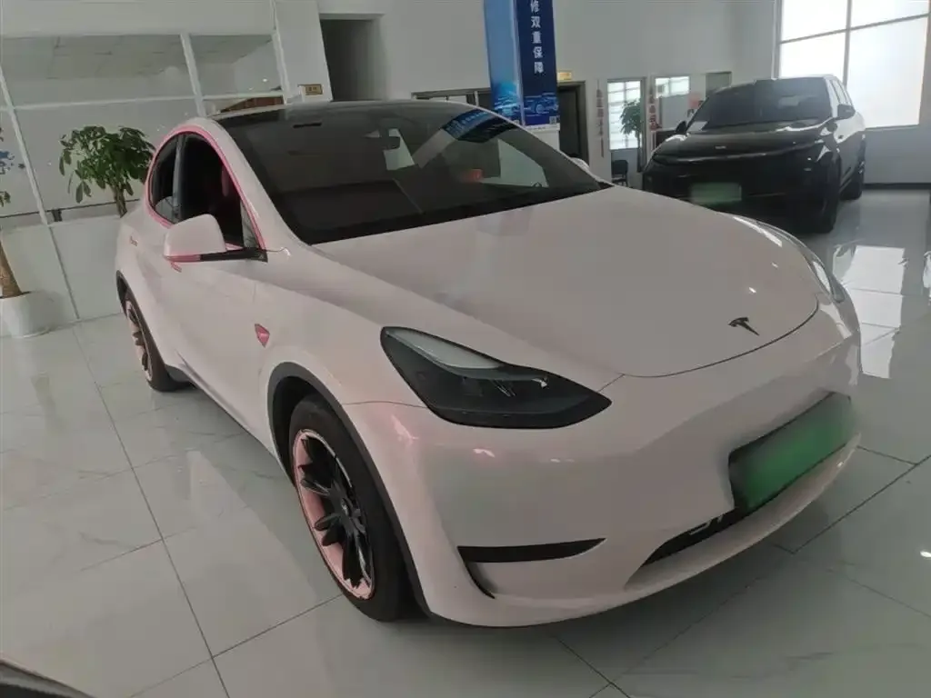 Tesla Model Y — фото 3