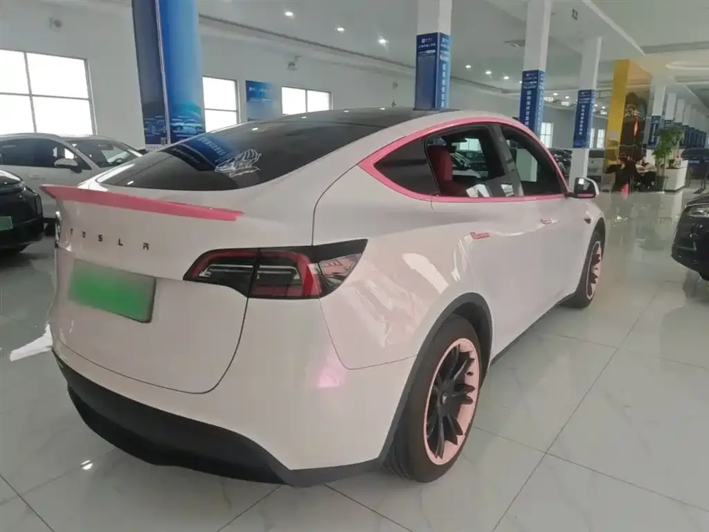 Tesla Model Y — фото 5