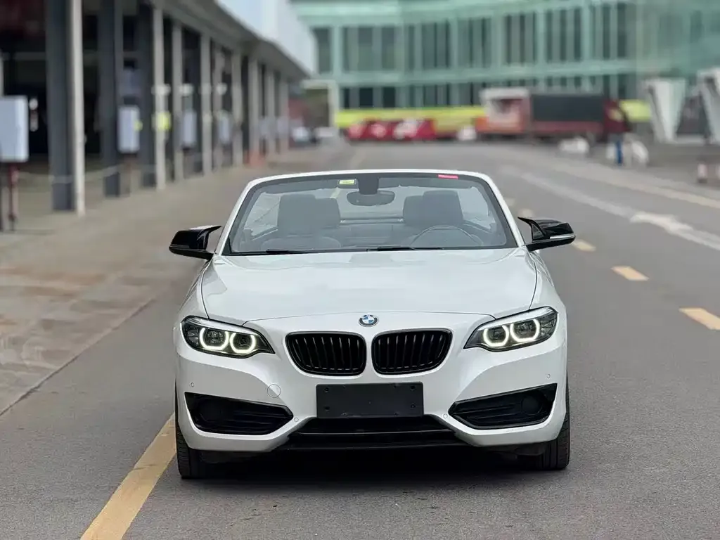 BMW 2 Series (Import) 2021 из CN, фото 3