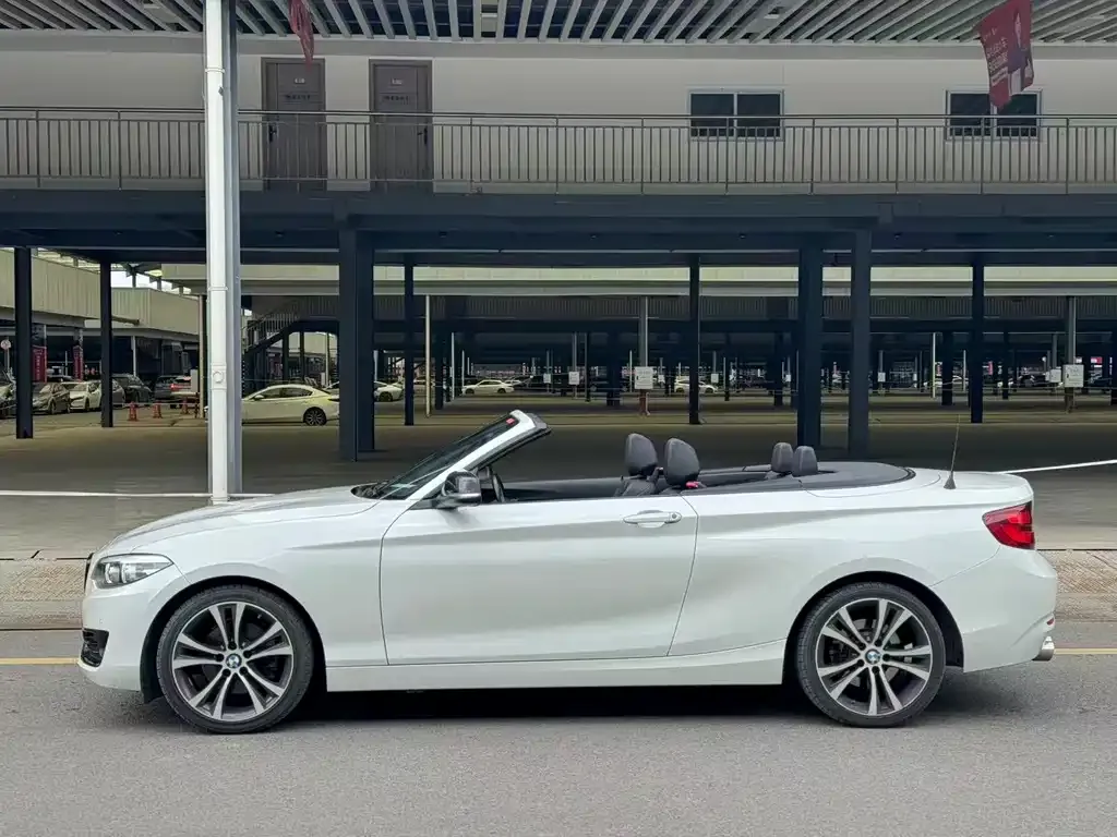 BMW 2 Series (Import) 2021 из CN, фото 10