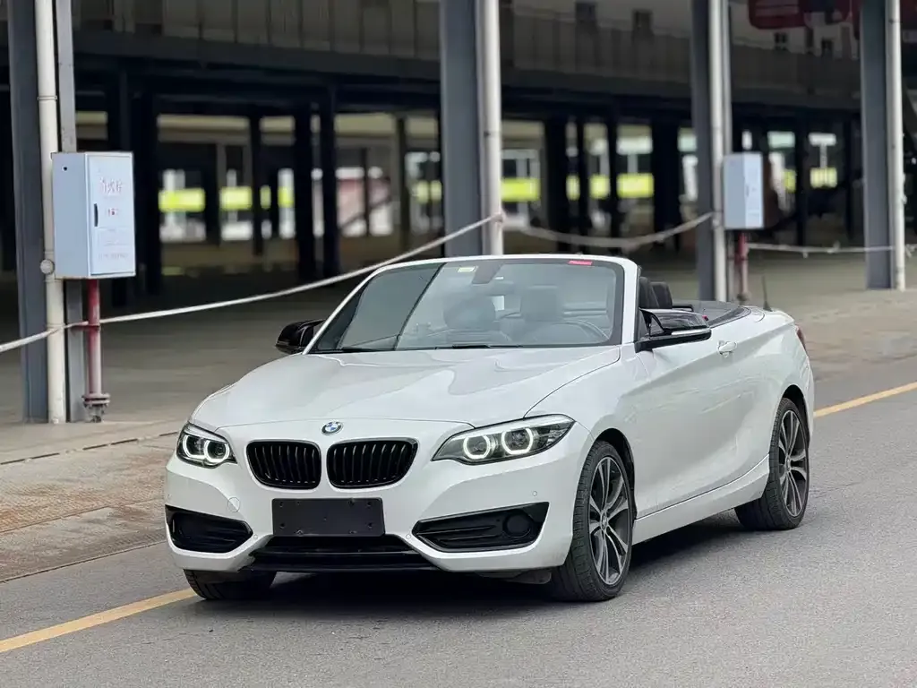 BMW 2 Series (Import) 2021 из CN, фото 6
