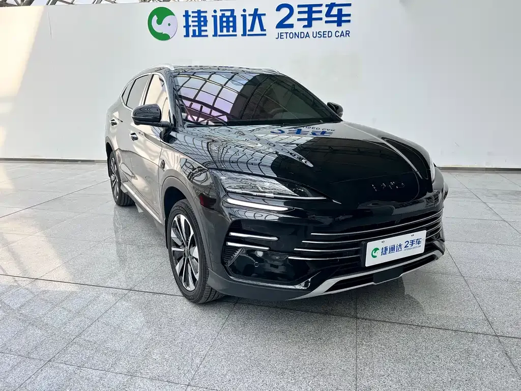 BYD PLUS New Energy — фото 8