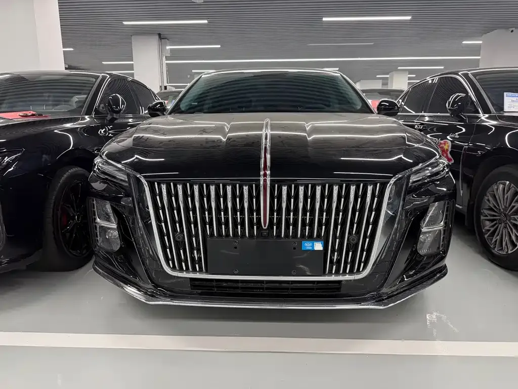 Hongqi H5 2025 из CN, фото 6