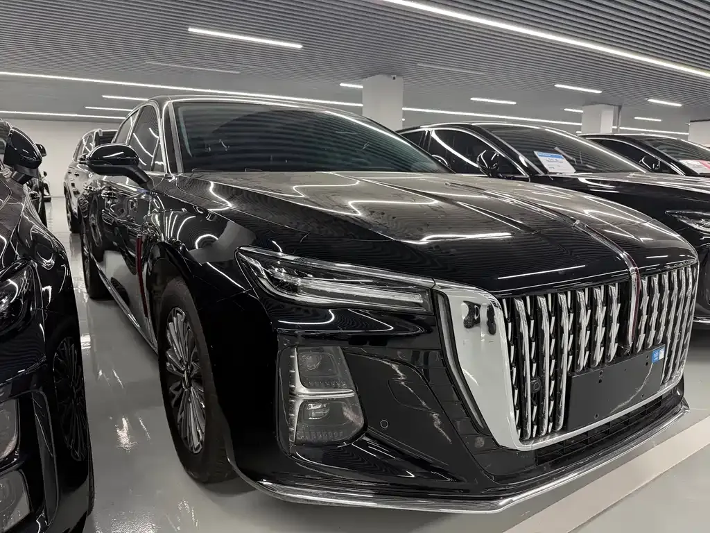 Hongqi H5 2025 из CN, фото 7