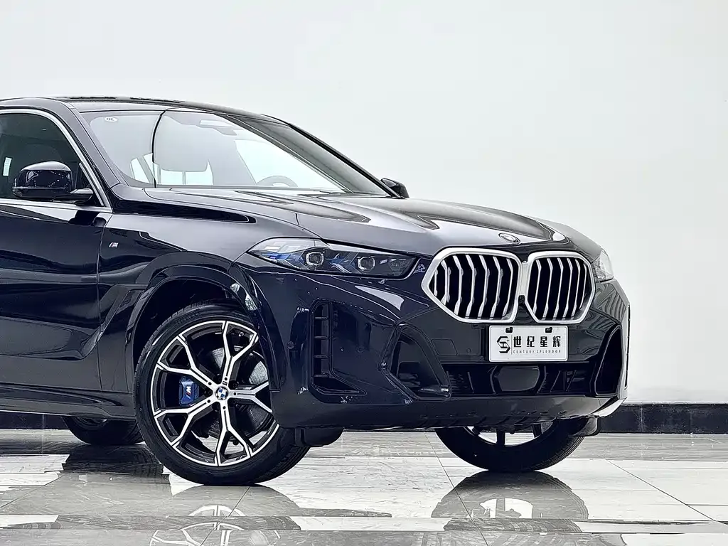 BMW X6 — фото 6