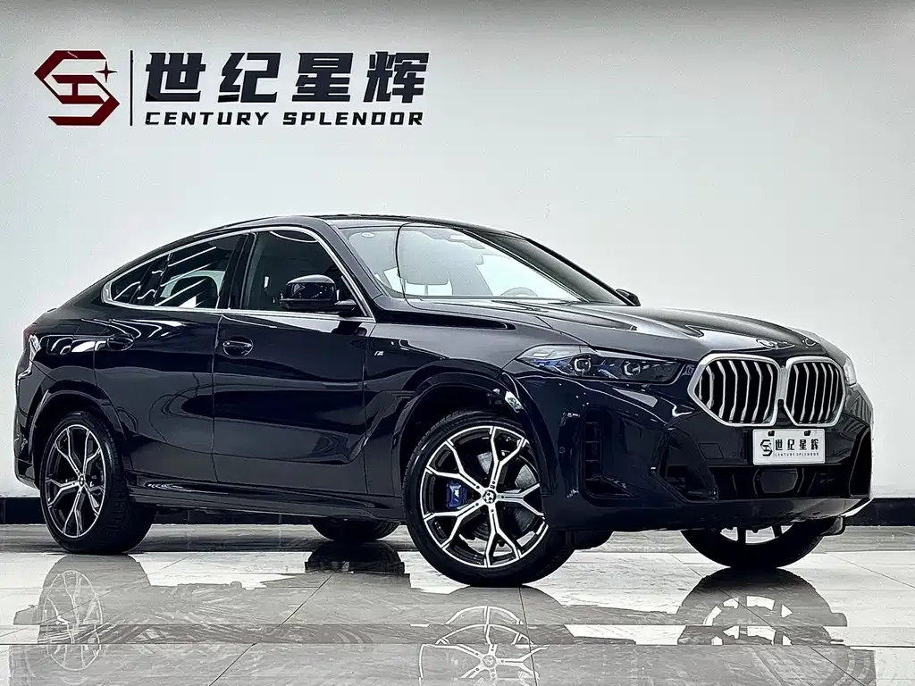 BMW X6 — фото 9