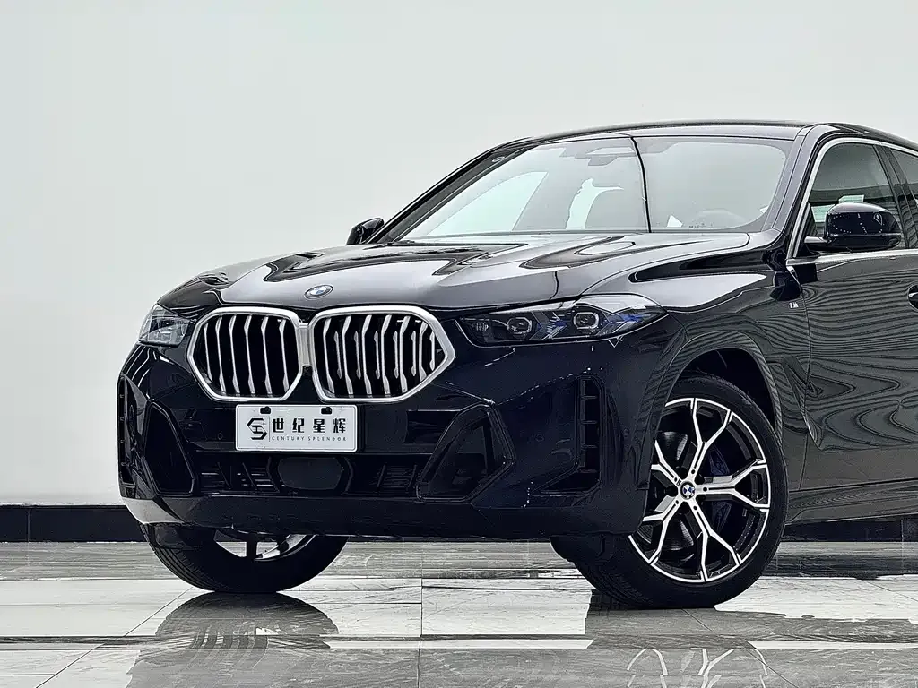 BMW X6 — фото 4