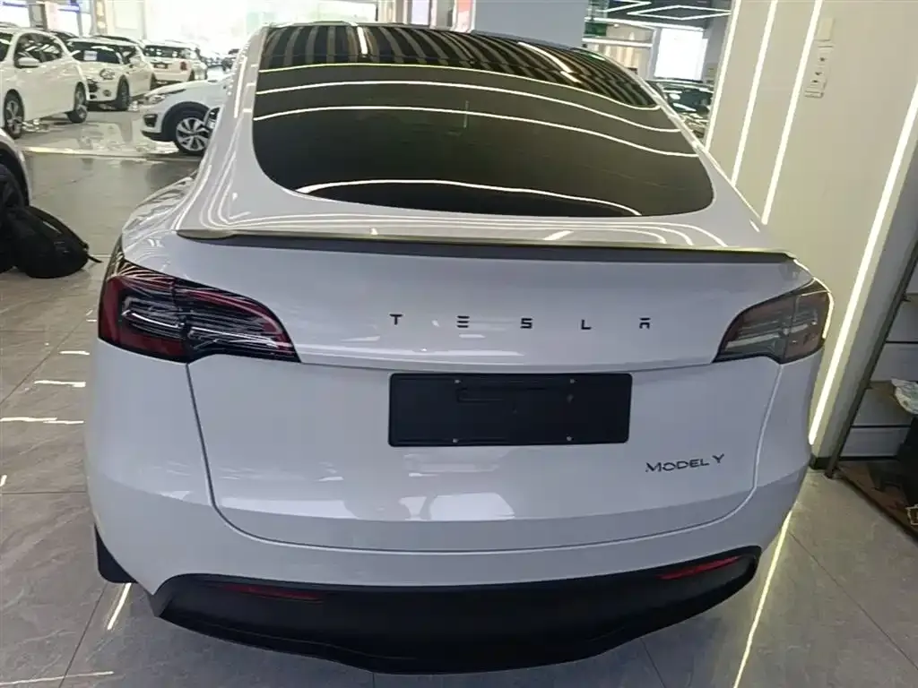 Tesla Model Y — фото 5