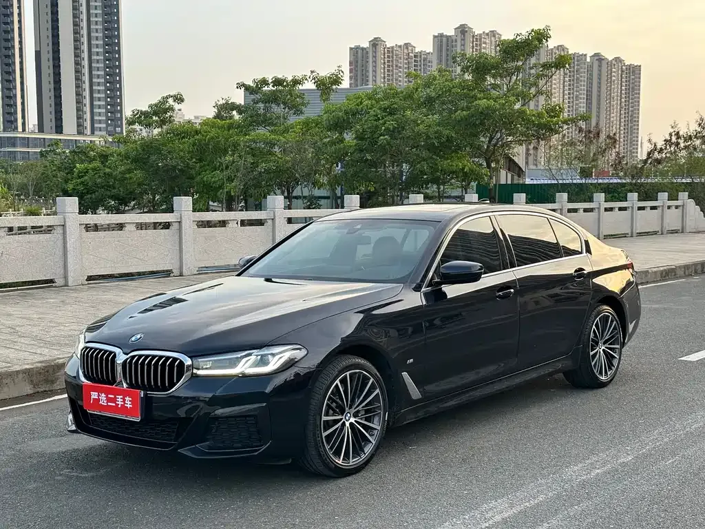 BMW 5 Series 2022 из CN, фото 1