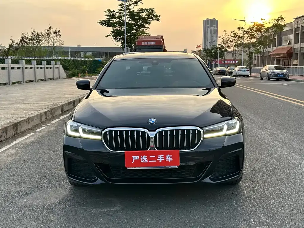 BMW 5 Series 2022 из CN, фото 7