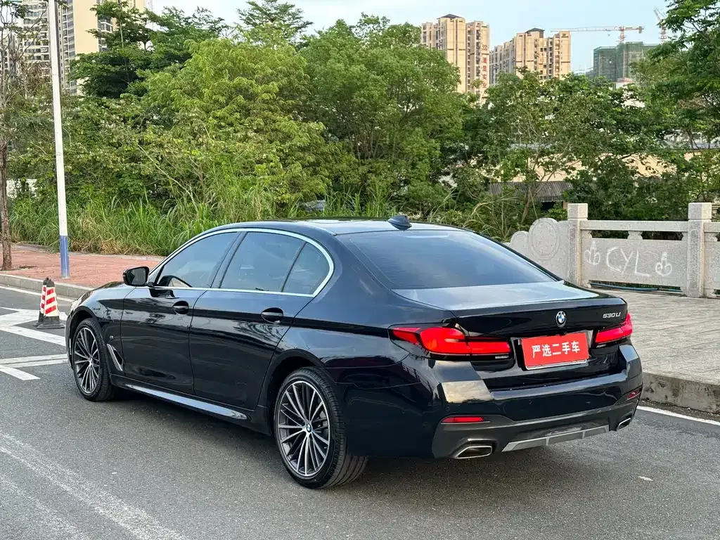 BMW 5 Series 2022 из CN, фото 9
