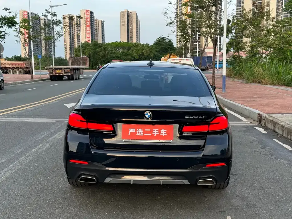 BMW 5 Series 2022 из CN, фото 6