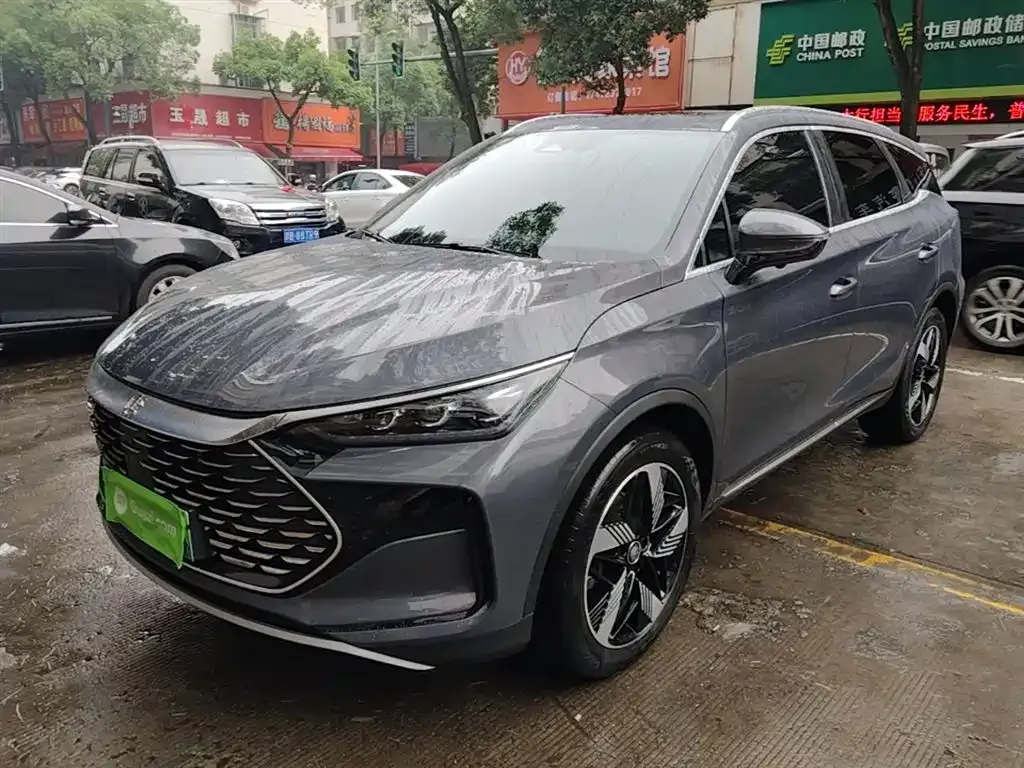 BYD Tang New Energy 2024 из CN, фото 6