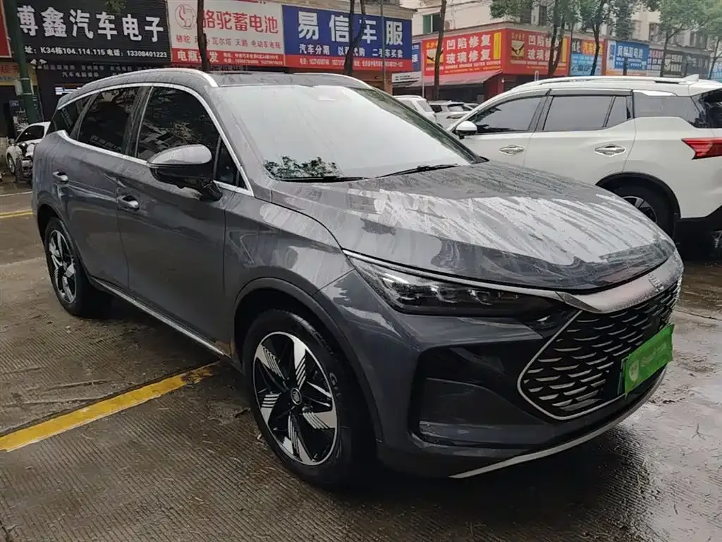 BYD Tang New Energy 2024 из CN, фото 5