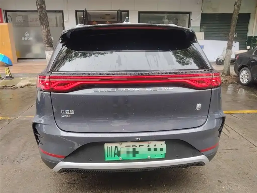 BYD Tang New Energy 2024 из CN, фото 9