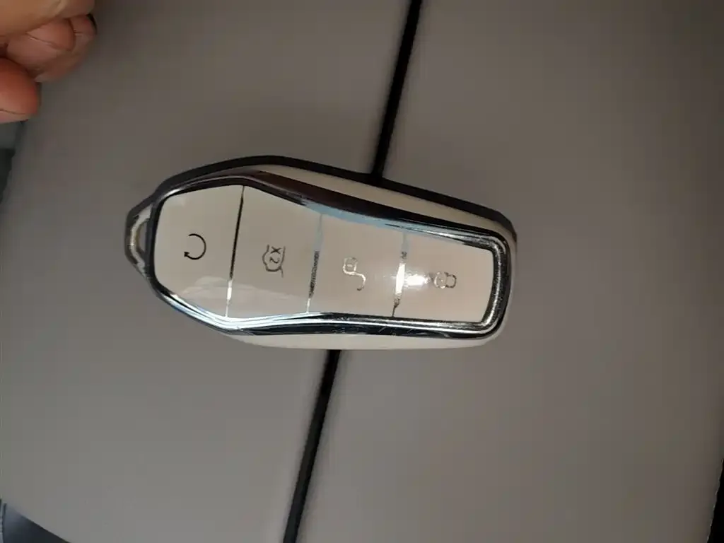 BYD Tang New Energy 2024 из CN, фото 2