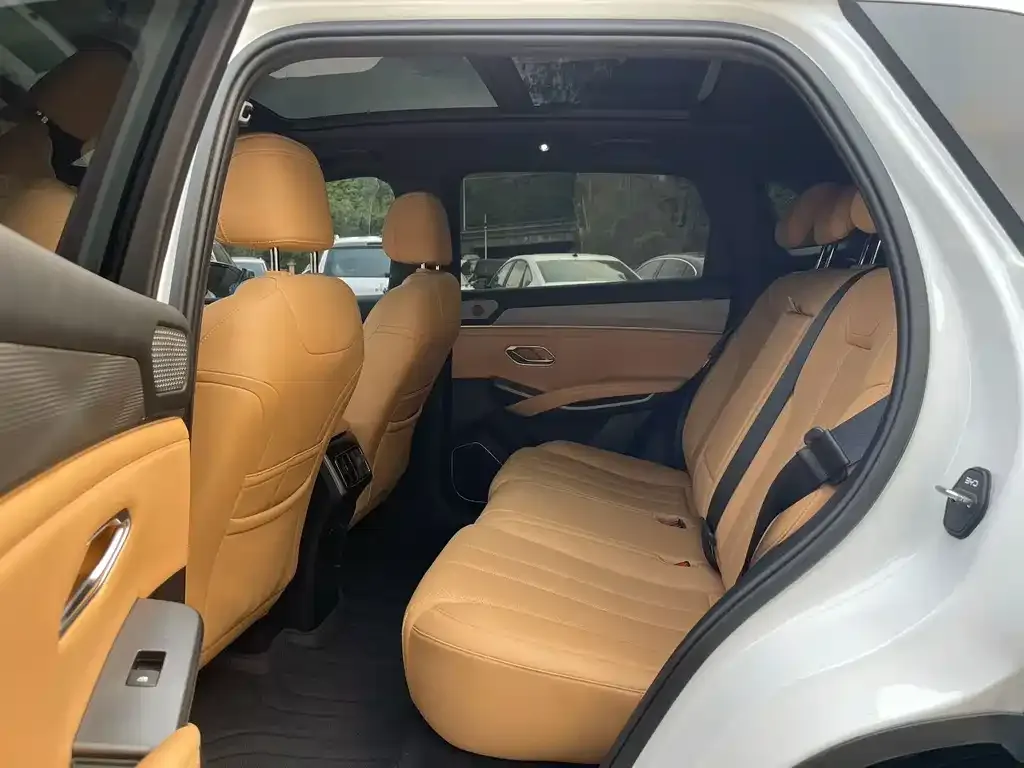 BYD L DM-i 2024 из CN, фото 2