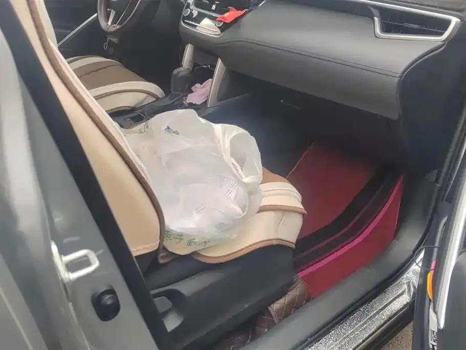 Toyota Frontlander 2023 из CN, фото 9