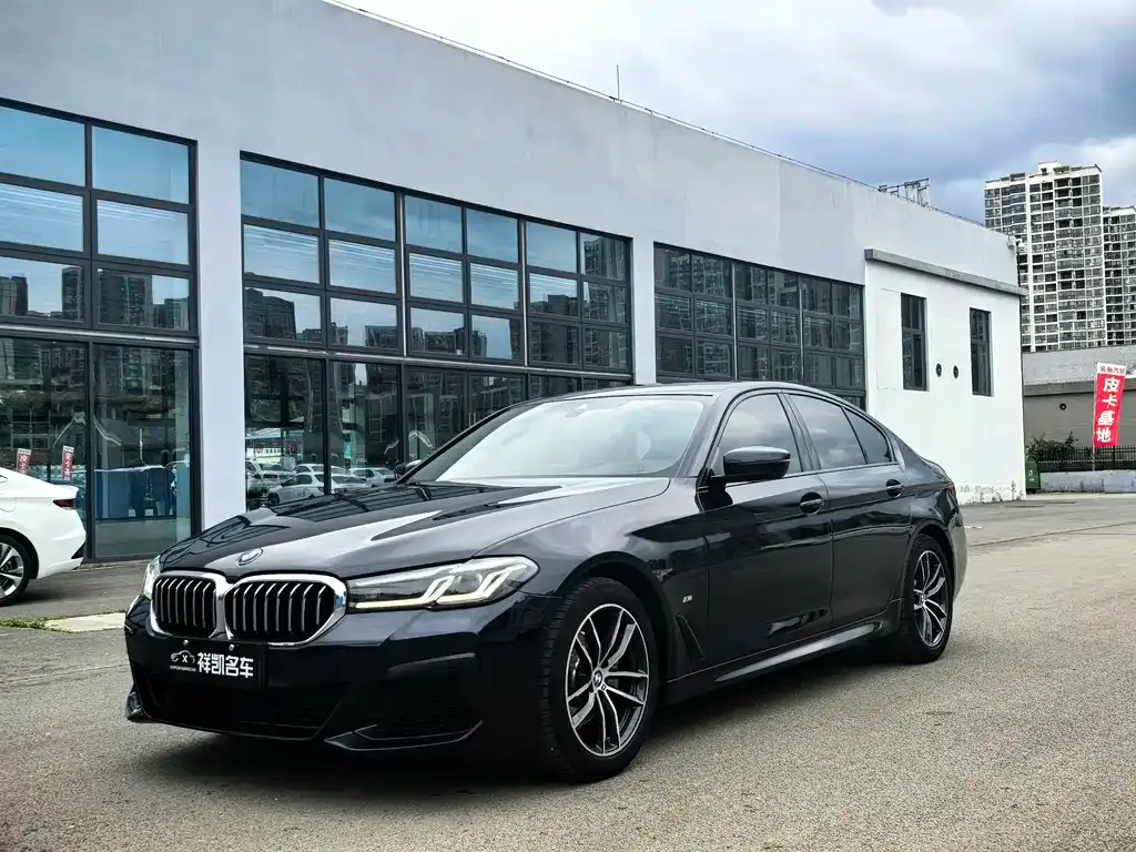 BMW 5 Series (Import)