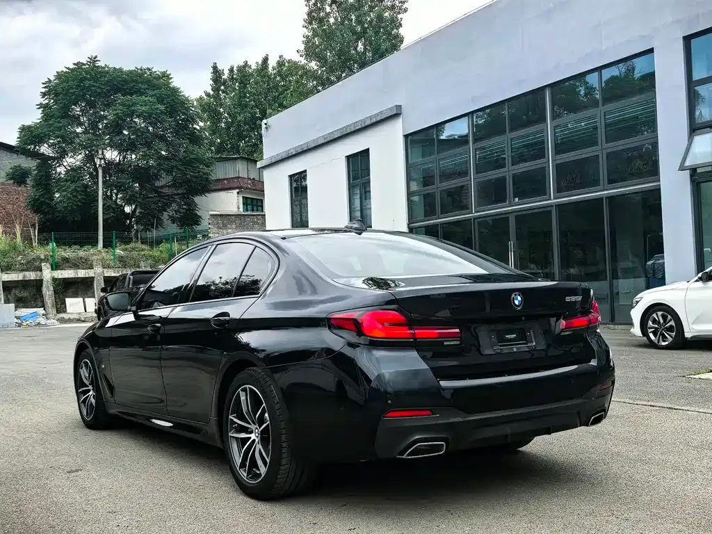 BMW 5 Series (Import) 2021 из CN, фото 10