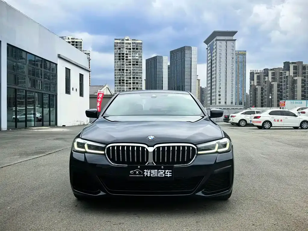 BMW 5 Series (Import) 2021 из CN, фото 8