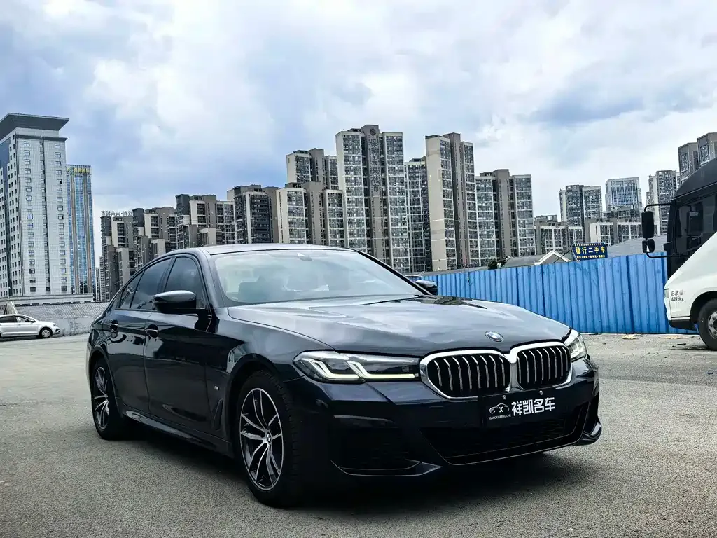 BMW 5 Series (Import) 2021 из CN, фото 5