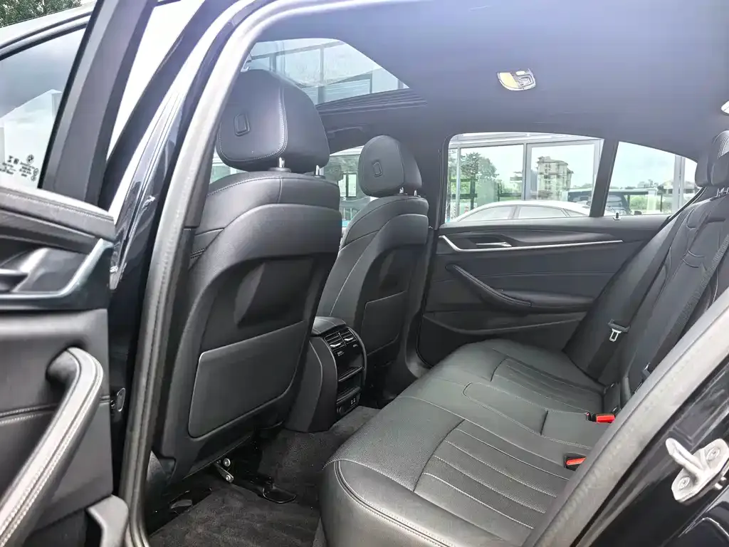 BMW 5 Series (Import) 2021 из CN, фото 2