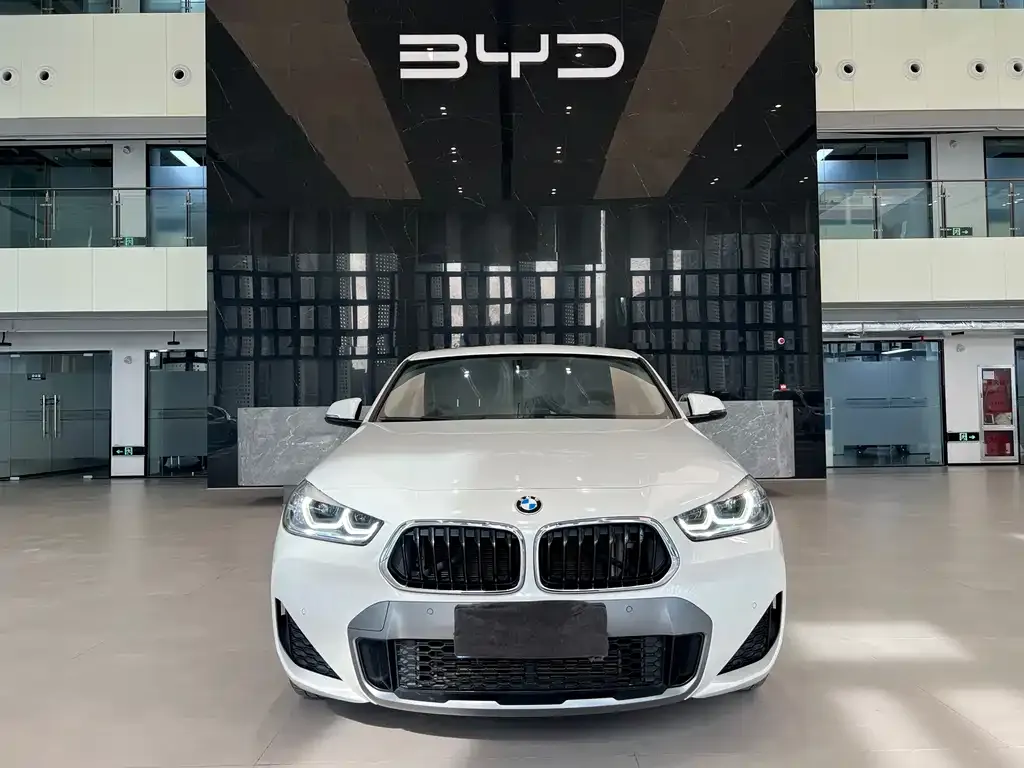 BMW X2 2022 из CN, фото 2